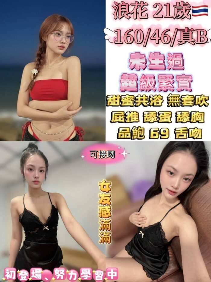 台北定點茶-浪花/160/46/21/B