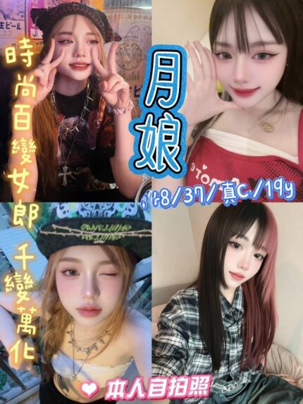 新北定點茶-月娘/148/37/19/C
