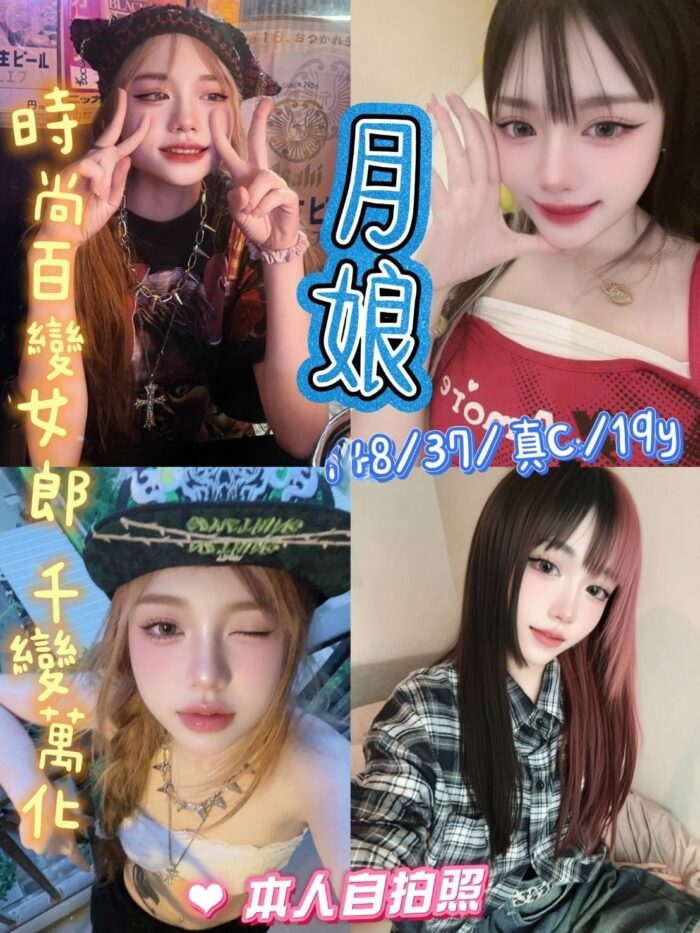 新北定點茶-月娘/148/37/19/C