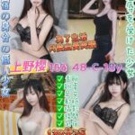 桃園定點茶-上野櫻/168/48/18/C
