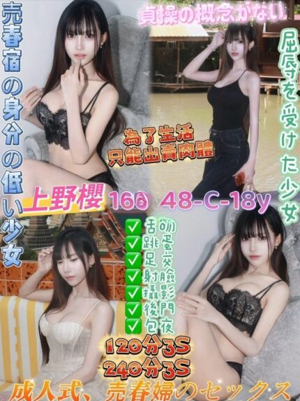 桃園定點茶-上野櫻/168/48/18/C