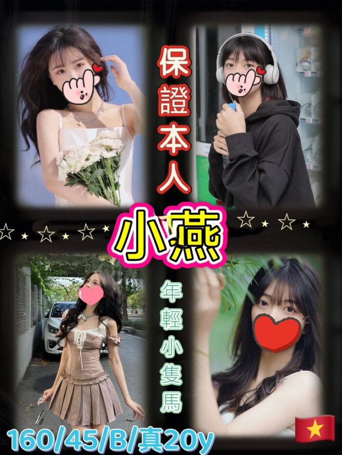 台北定點茶-小燕/160/45/20/B