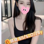 嘉義外送茶-晴晴/165/50/26/D