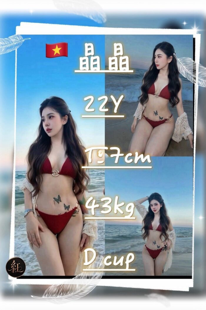 桃園定點茶-晶晶/157/43/22/D