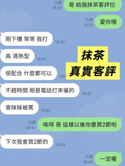 台北定點茶-抹茶/168/55/22/C