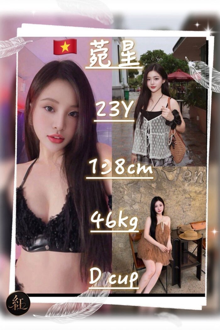 桃園定點茶-菀星/158/46/23/D