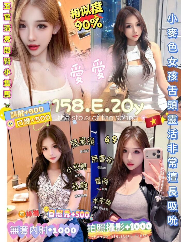 新北定點茶-愛愛/158/48/20/E