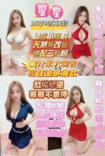 南投定點茶-星星/160/49/26/E