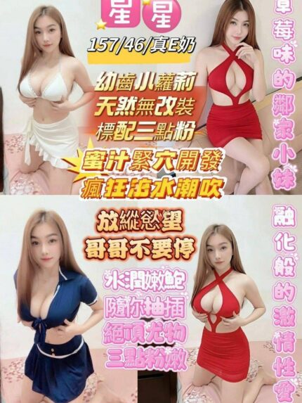 南投定點茶-星星/160/49/26/E