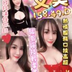 桃園定點茶-艾美/158/49/?/D