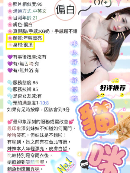 新竹定點茶-貓咪/165/50/19/D