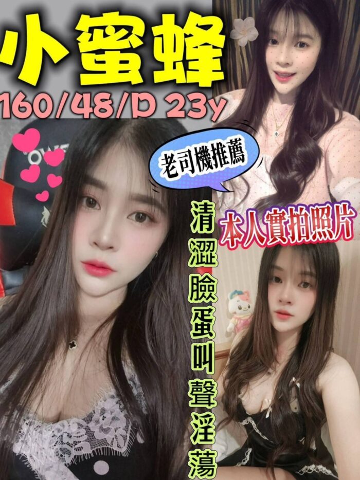 新北定點茶-小蜜蜂/160/48/23/D 新北定點茶-小蜜蜂/160/48/23/D