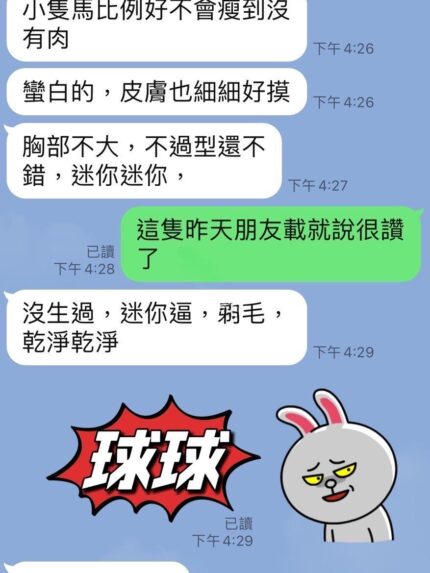 台東定點茶-球球/152/45/22/C