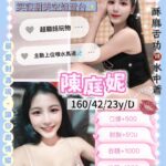 台中定點茶-陳庭妮/160/42/23/D