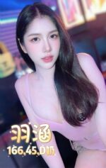 台北定點茶-羽涵/166/45/?/D
