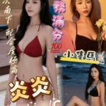 屏東定點茶-炎炎/155/45/?/C