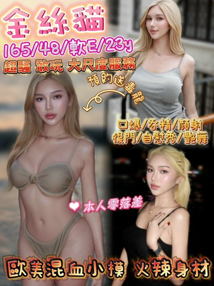 台北定點茶-金絲貓`/165/48/23/E 台北定點茶-金絲貓`/165/48/23/E
