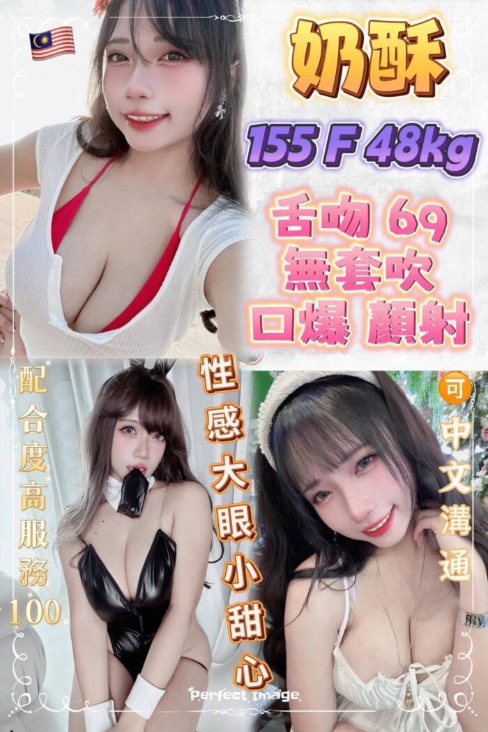 新北定點茶-奶酥/155/48/?/F