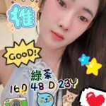 台北定點茶-綠茶/160/46/20/E