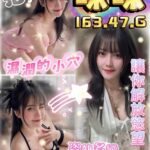 雲林定點茶-咪咪/163/47/?/G