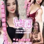 嘉義定點茶-允真/160/46/23/D