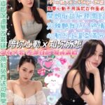 台北定點茶-裴知妍/157/45/24/E