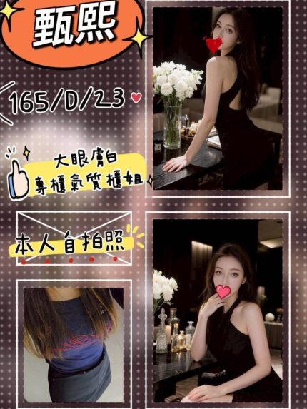 台北外送茶-甄熙/165/?/23/D