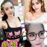 台北定點茶-南枝/160/48/24/E
