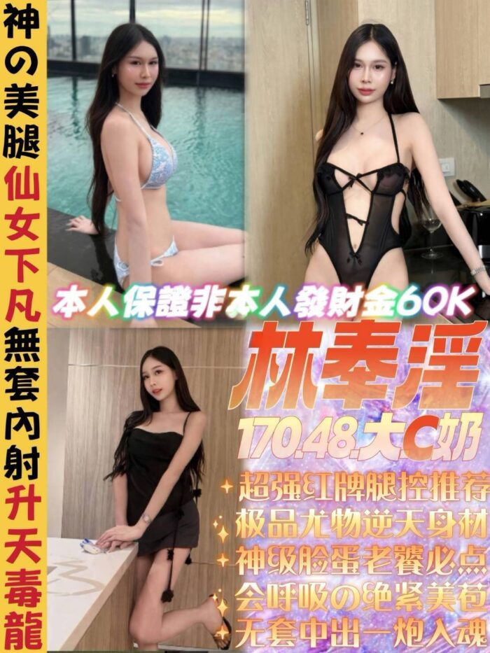 新北定點茶-林奉淫/170/48/22/C 新北定點茶-林奉淫/170/48/22/C