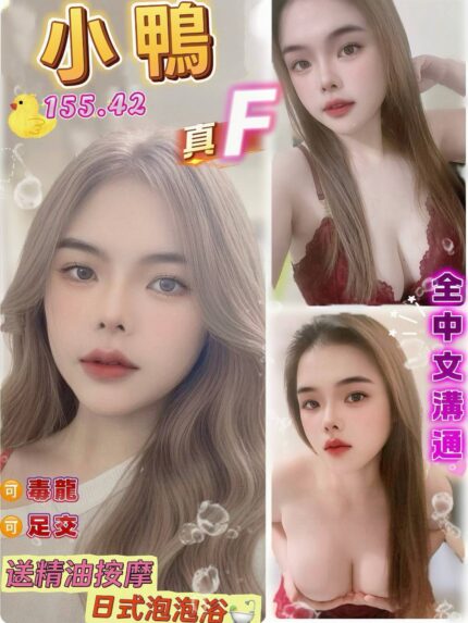 桃園定點茶-小鴨/155/42/20/F