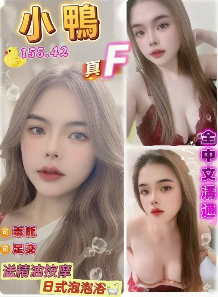 桃園定點茶-小鴨/155/42/20/F