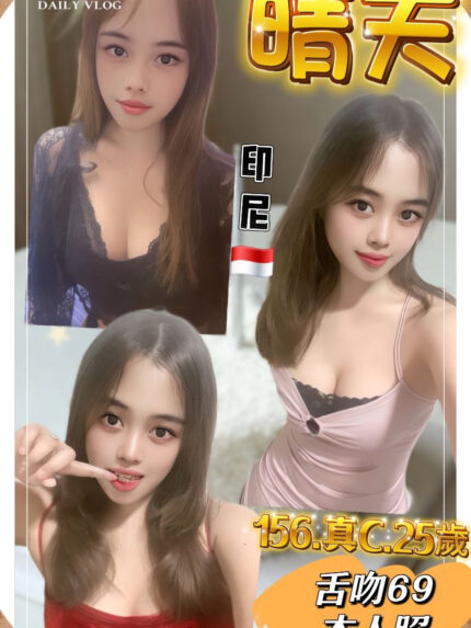 新北定點茶-晴天/156/49/25/C