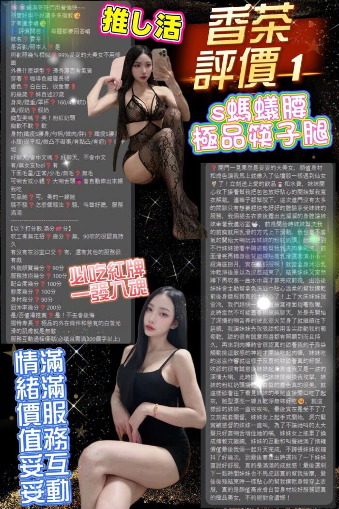 台北定點茶-香茶/160/45/24/D