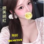 台中外送茶-琳軒/158/45/22/E