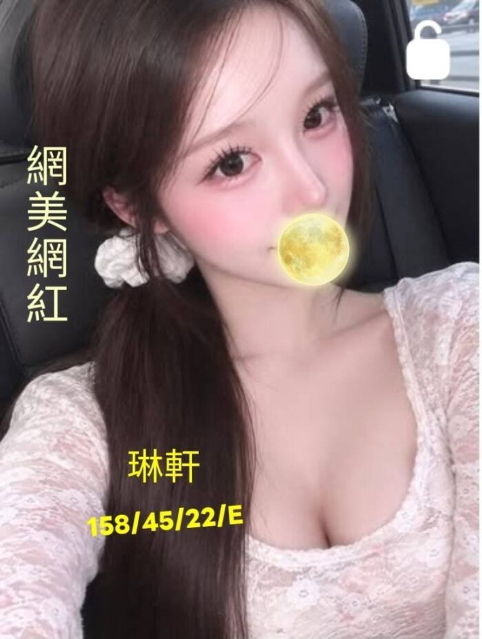 台中外送茶-琳軒/158/45/22/E