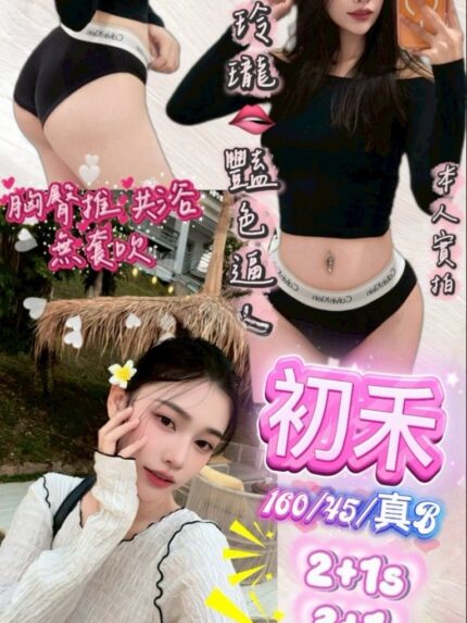 新竹定點茶-初禾/160/45/23/B