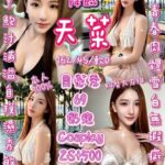 新竹定點茶-天菜/162/45/21/D