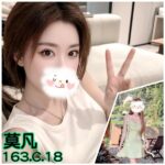 台北外送茶-莫凡/163/?/18/C