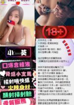台北定點茶-小葵/162/?/24/C