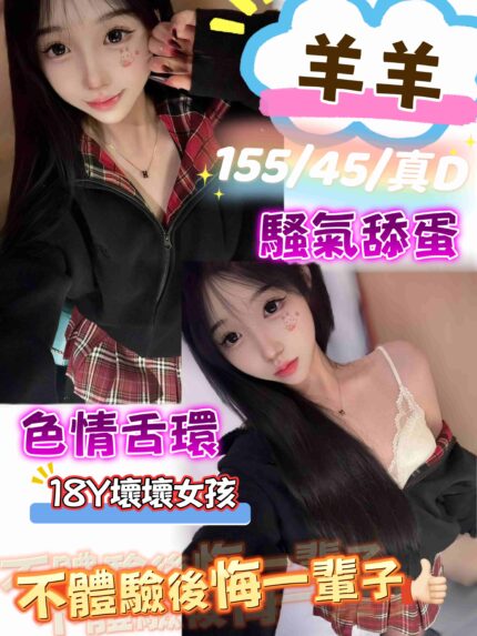 台中定點茶-羊羊/155/45/18/D