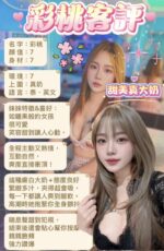 新北定點茶-彩桃/160/50/21/E