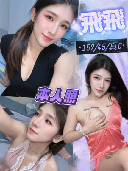 台中定點茶-飛飛/152/45/25/C