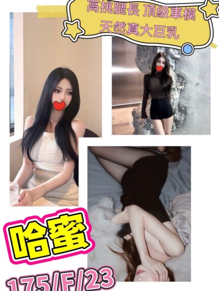 台北外送茶-哈蜜/175/?/23/F