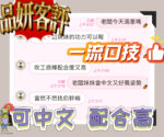 雲林定點茶-品妍/162/45/18/D