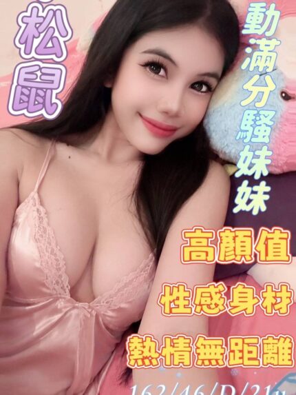 雲林定點茶-小松鼠/162/46/21/D