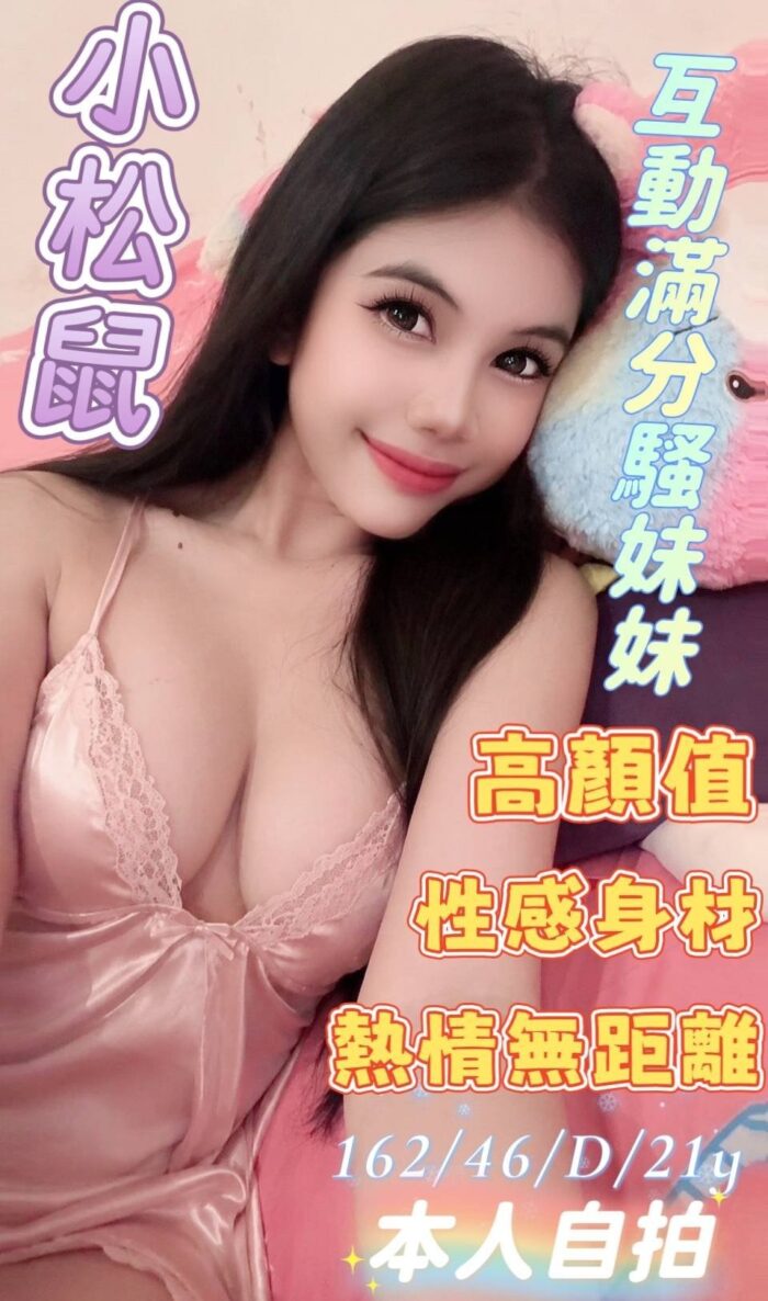 雲林定點茶-小松鼠/162/46/21/D