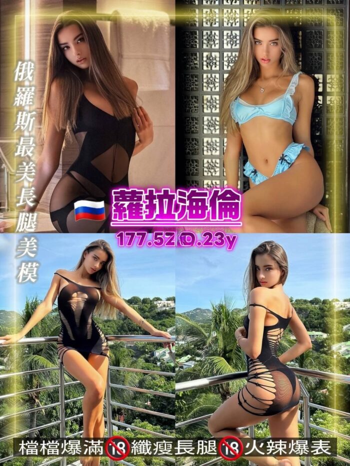 桃園定點茶-蘿拉海倫/177/52/23/D