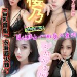 新竹定點茶-櫻乃/160/48/?/E