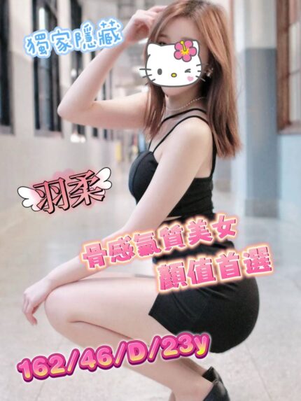 台中外送茶-羽柔/162/46/23/D