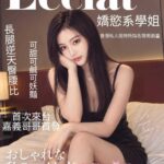 嘉義定點茶-雅捷/172/52/?/D